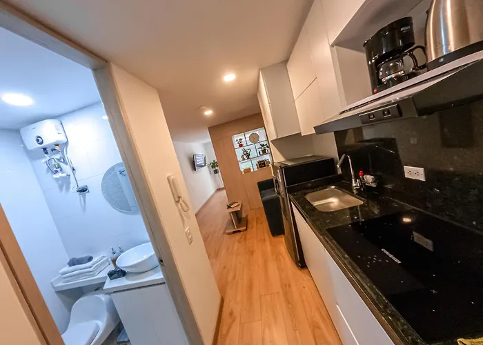 Comodo Apartamento Tipo Loft En Centro De Bogota 2